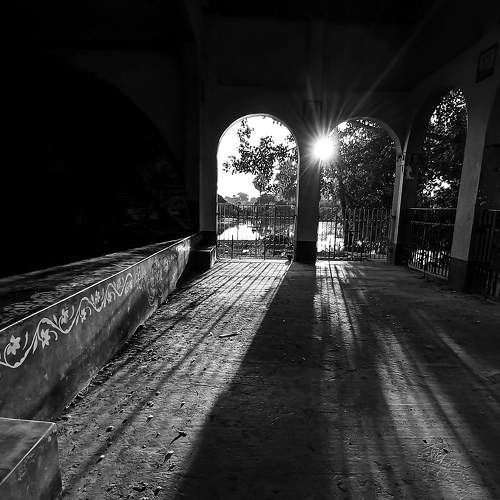 Photo #8930682