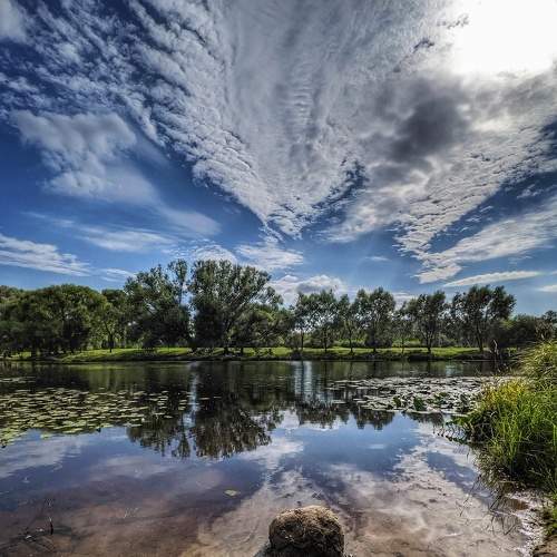 Photo #8930873