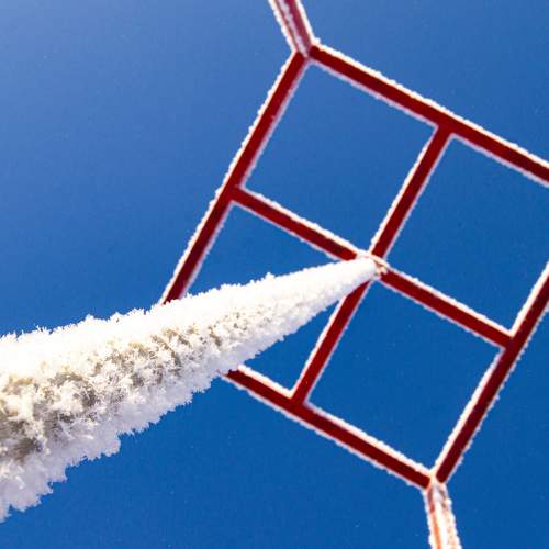 Photo #8930890