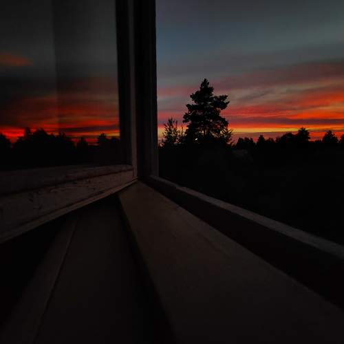 Photo #8930966