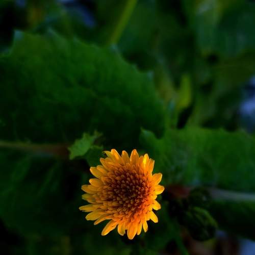 Photo #8930975