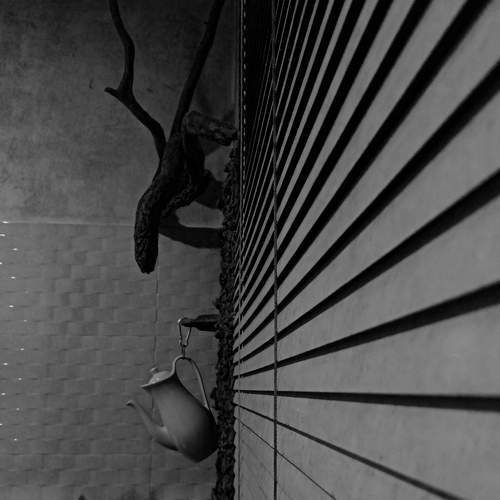 Photo #8931392