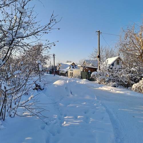 Photo #8931468