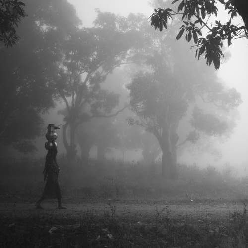 Photo #8931586