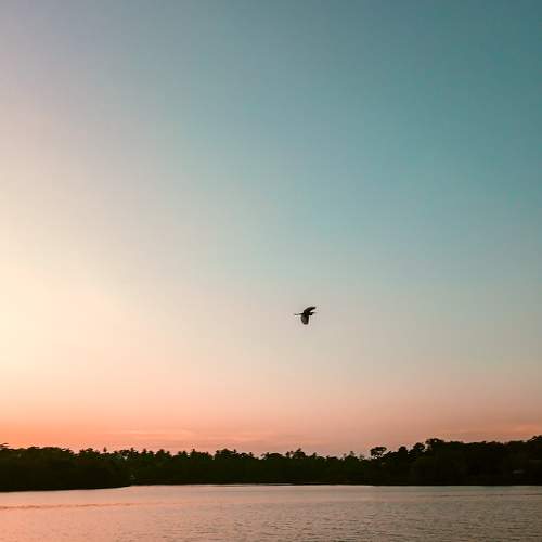 Photo #8931603