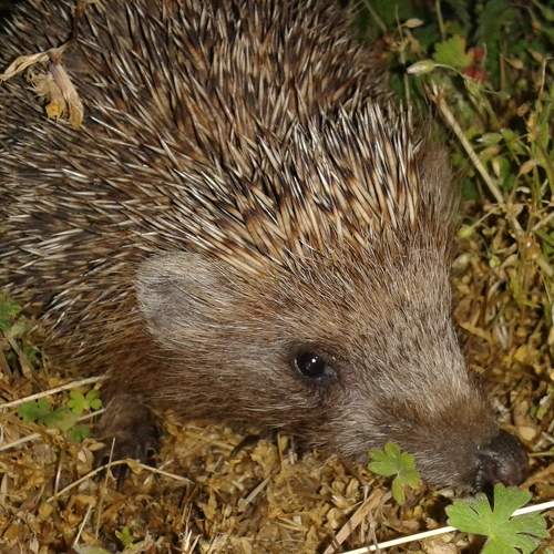 Photo #8931608