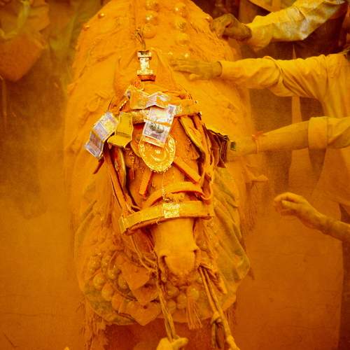 Photo #8931737