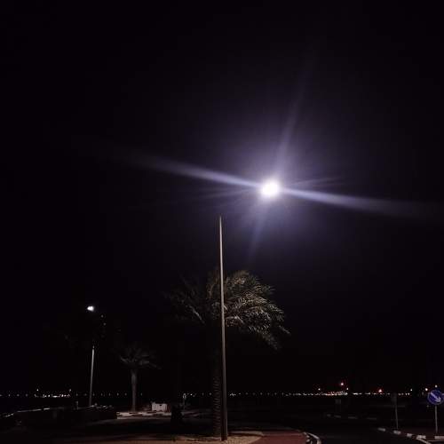 Photo #8931890