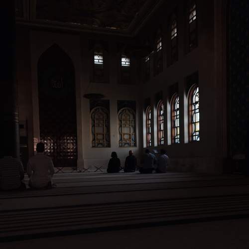 Photo #8931907