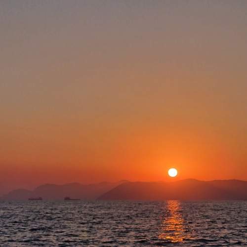 Photo #8932100