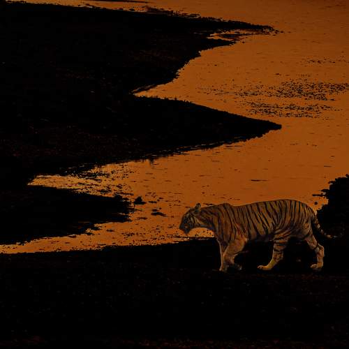 Photo #8932153