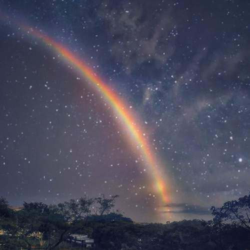 Photo #8932264