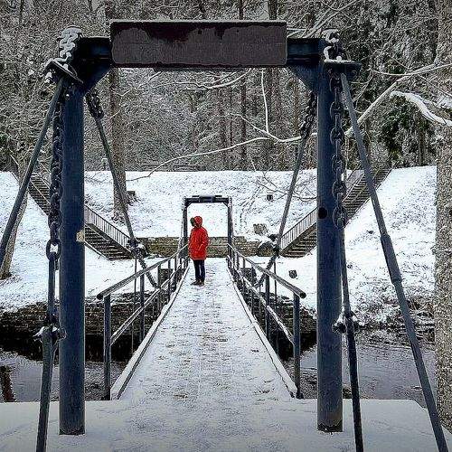 Photo #8932270