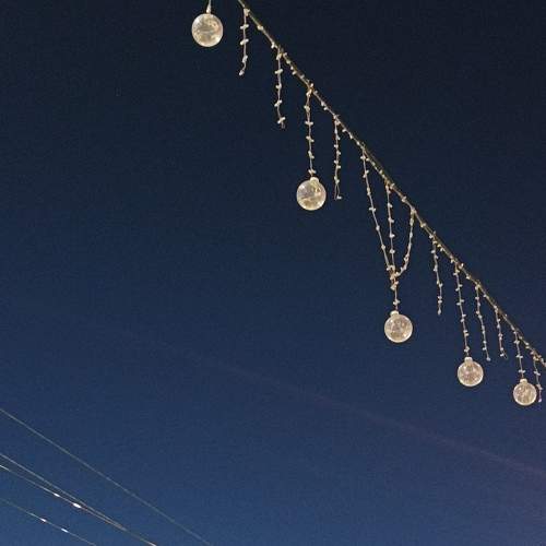 Photo #8932283