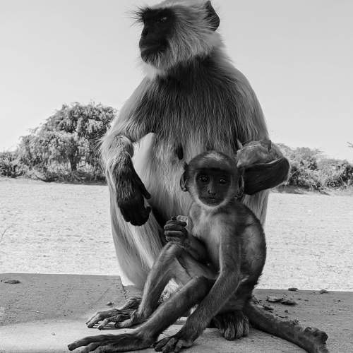Mother and child