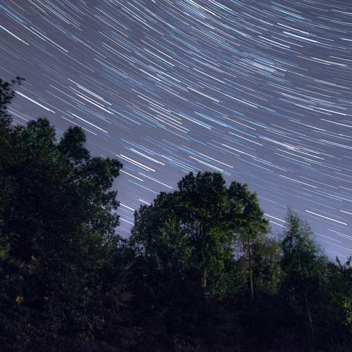 Photo #8932533