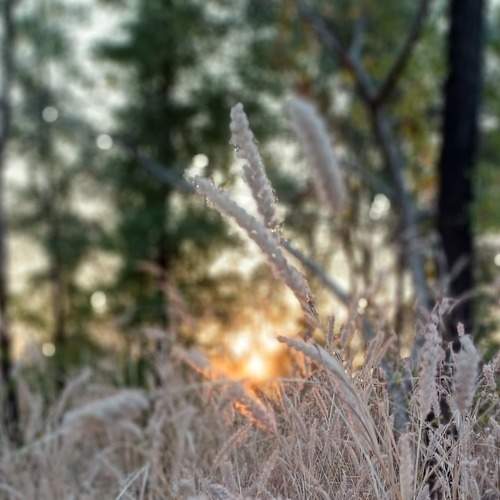 Photo #8932538