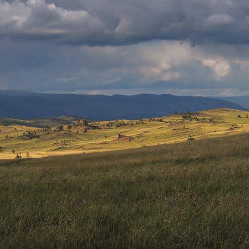 Photo #8932545