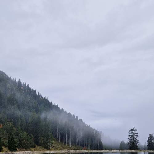 Photo #8932562
