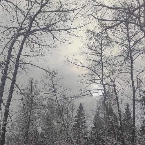 Photo #8932565