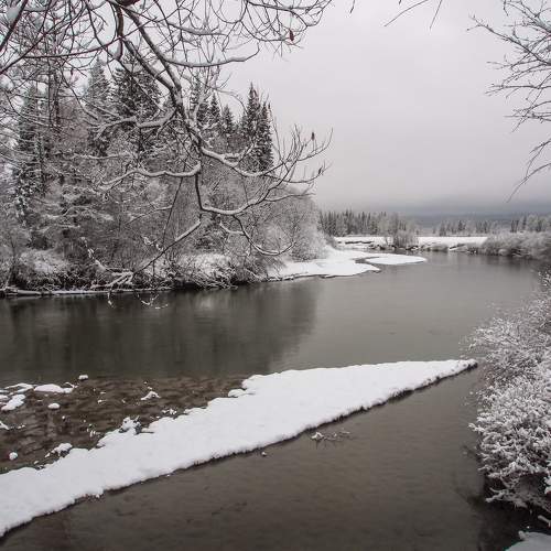 Photo #8932583
