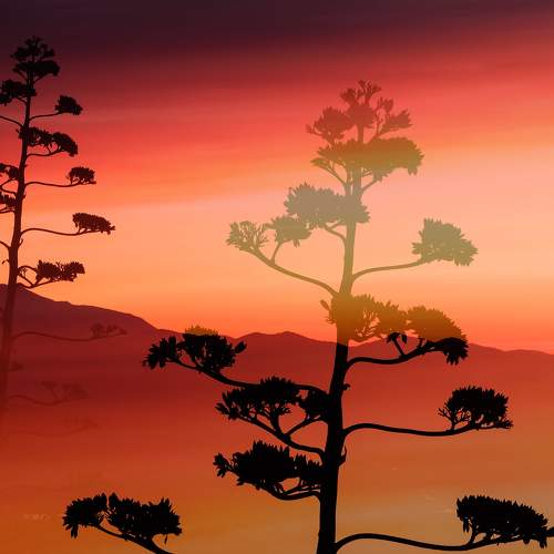 Photo #8932776