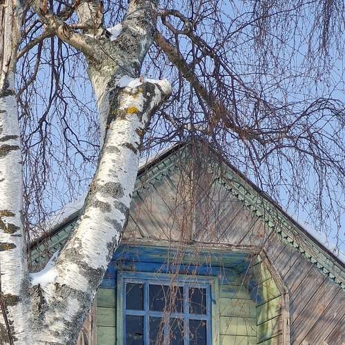 Photo #8932797