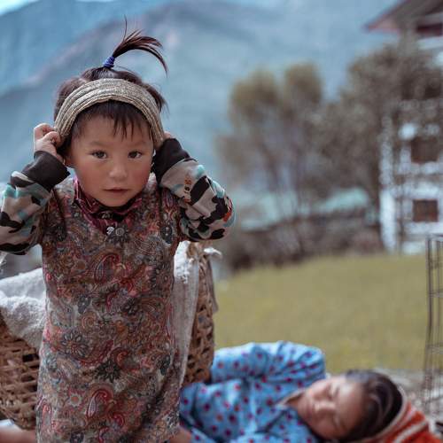 Photo #8933054