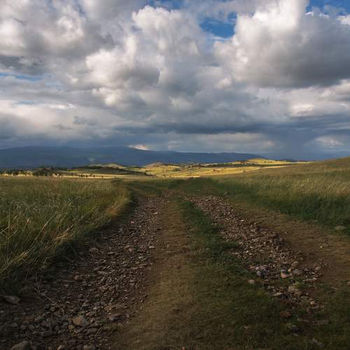 Photo #8933092