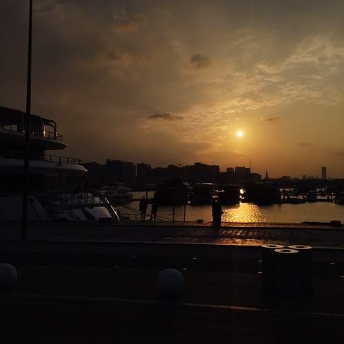 Photo #8933163