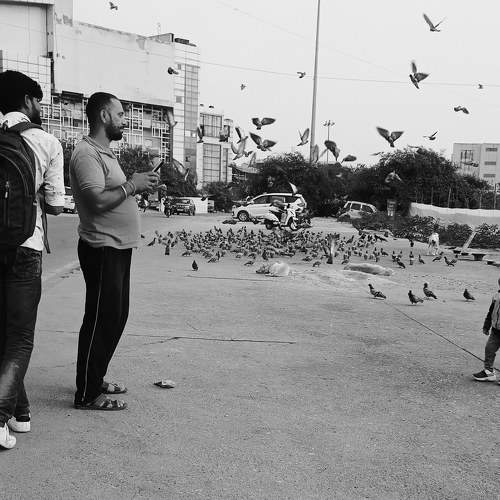 Photo #8933198