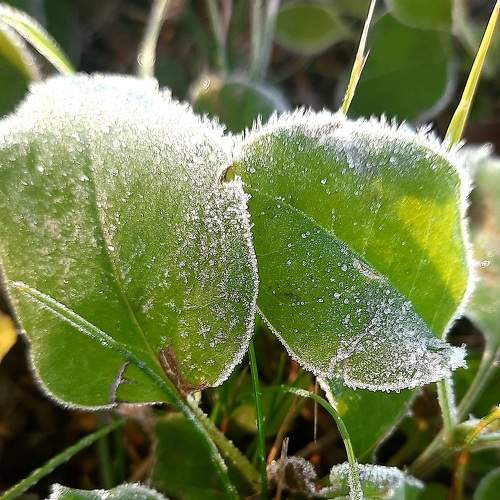 Photo #8933451