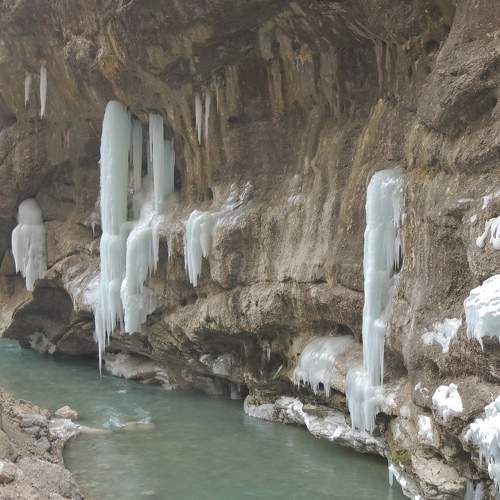 Photo #8933514