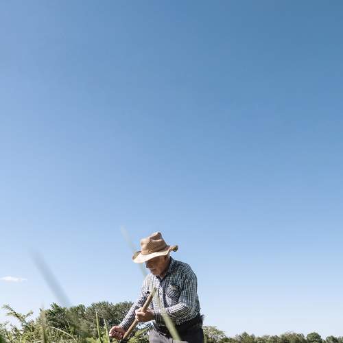 Photo #8933726