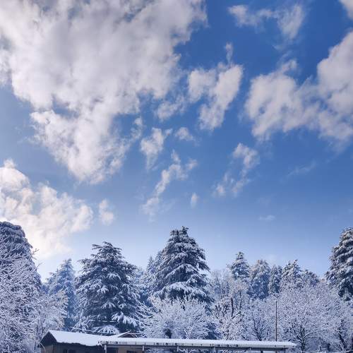 Photo #8933785