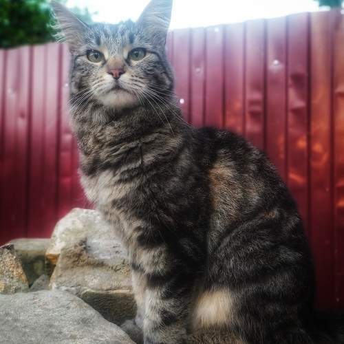 Photo #8933899