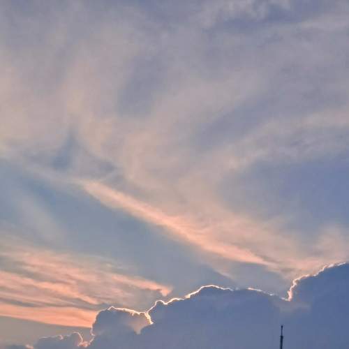 Photo #8934011