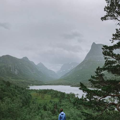 Photo #8934064