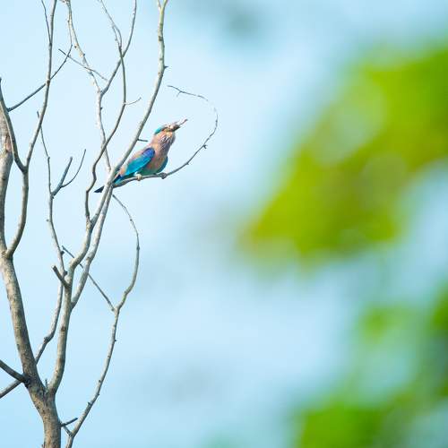 Photo #8934083