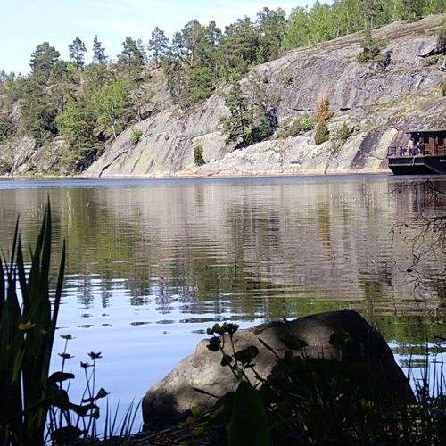 Photo #8934123