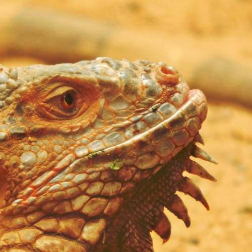Photo #8934132
