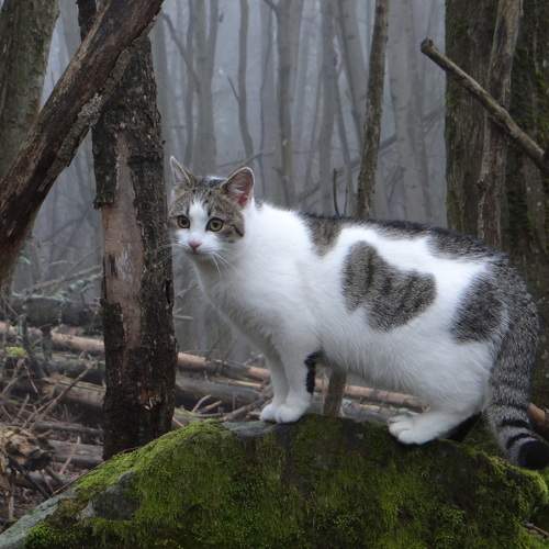 Photo #8934232