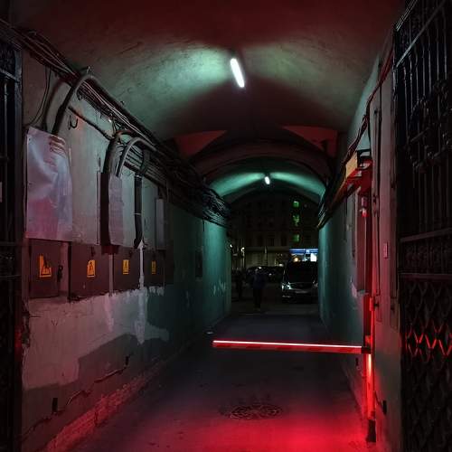 Photo #8934259