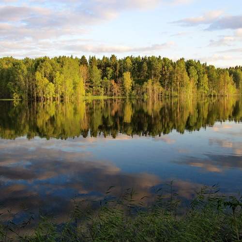 Photo #8934292