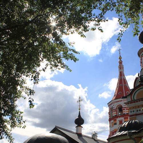 Photo #8934427