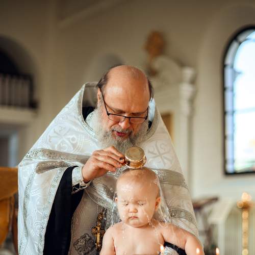 Photo #8934518