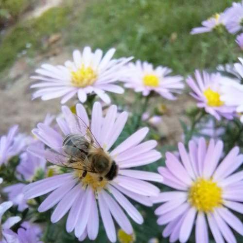 Photo #8934938