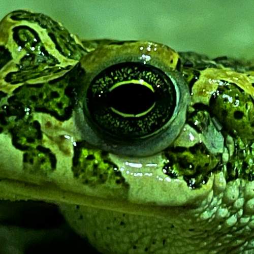Photo #8934962