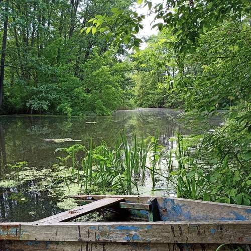 Photo #8935046