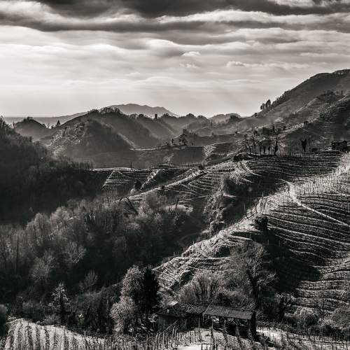 the Prosecco Hills
